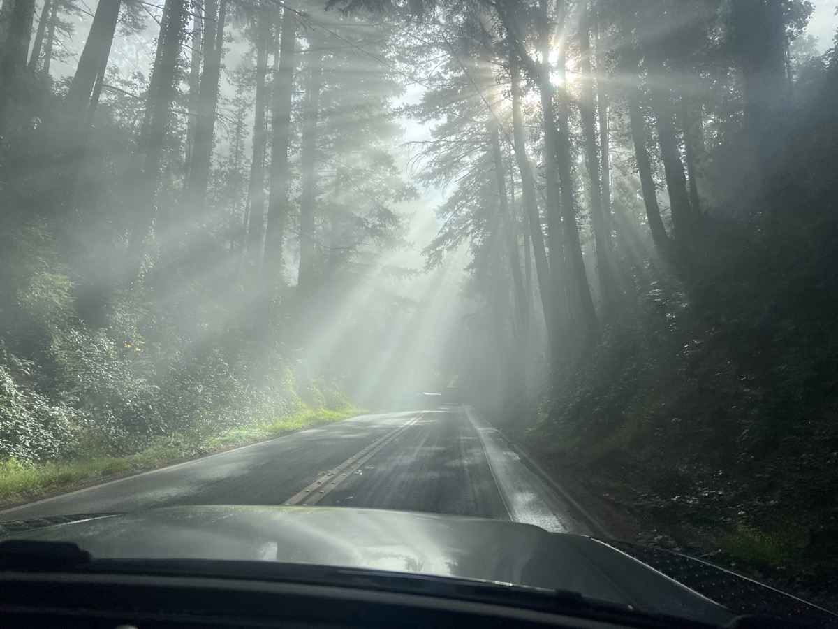 🌤️ tunnel of sunshine